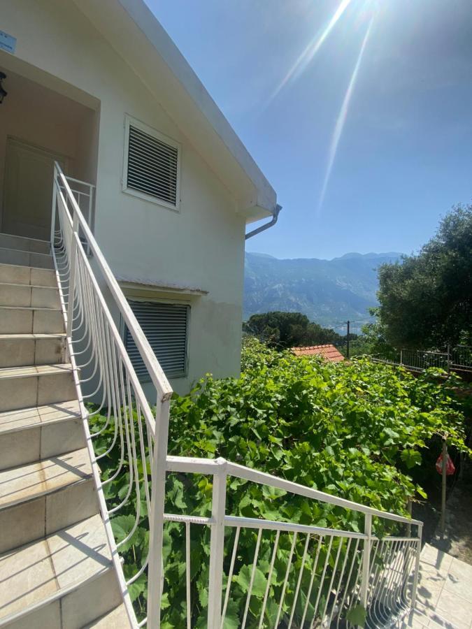 Apartments Djuricic Kotor Eksteriør bilde