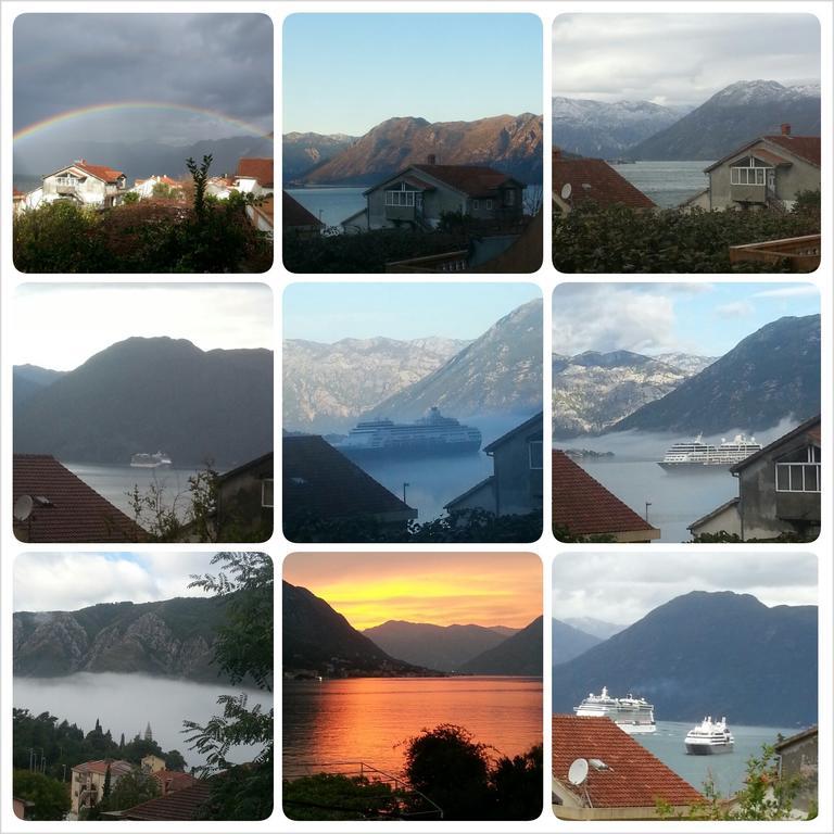 Apartments Djuricic Kotor Rom bilde